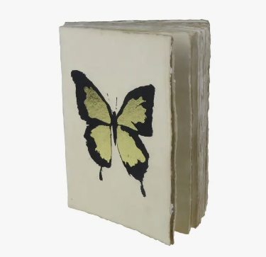 Cabinet of Curiosity Parchment Paper Notebook